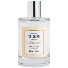 FER A CHEVAL EAU FRA 25271